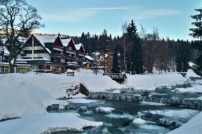 Apartmán Bíle Labe 8 Špindlerův Mlýn, Spindleruv Mlýn